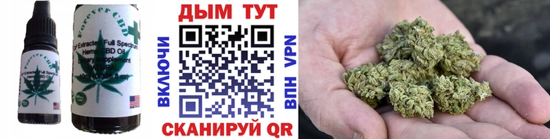 где найти   Людиново  Cannafood конопля 