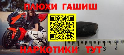 прущие грибы Заводоуковск
