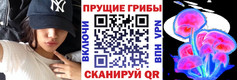 mega зеркало где купить Людиново Галлюциногенные грибы Cubensis