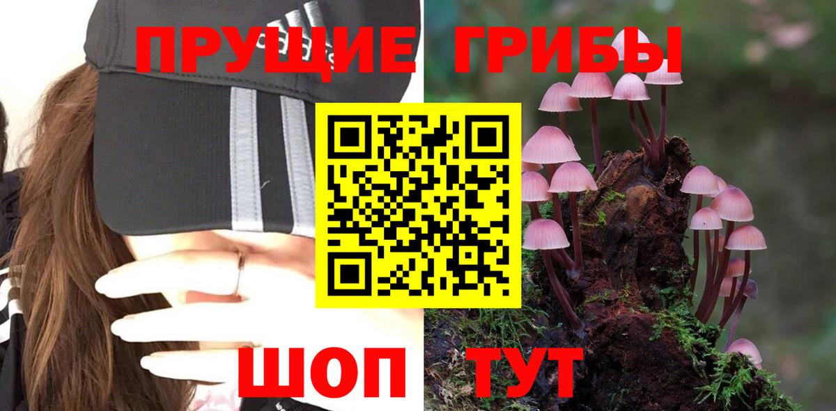 Псилоцибиновые грибы мухоморы  Вход с VPN  Людиново  наркошоп  Псилоцибиновые грибы ЛСД 